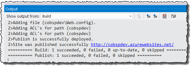 Publish web app - publish success