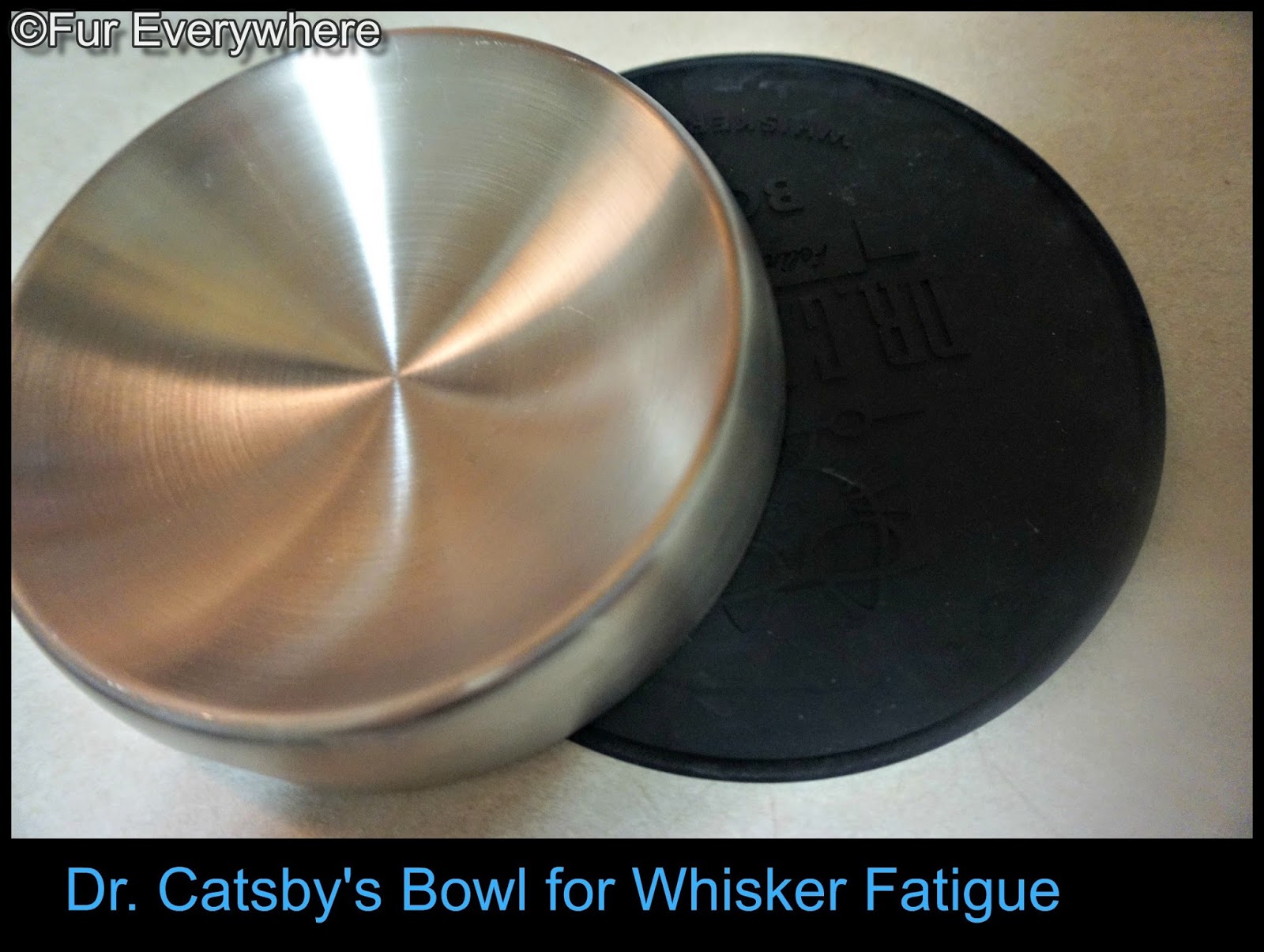 Dr Catsby s Bowl for Whisker Fatigue with non slip