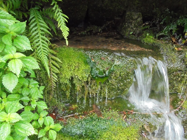 途中で湧き水が湧いています