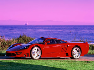 Saleen S7 2002 (4)