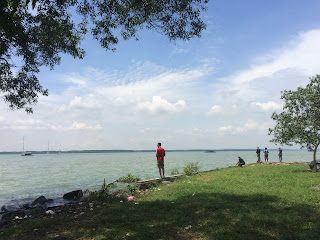 Taman Buaya Teluk Sengat Merupakan Taman Terbesar Buaya di Semenanjung Malaysia