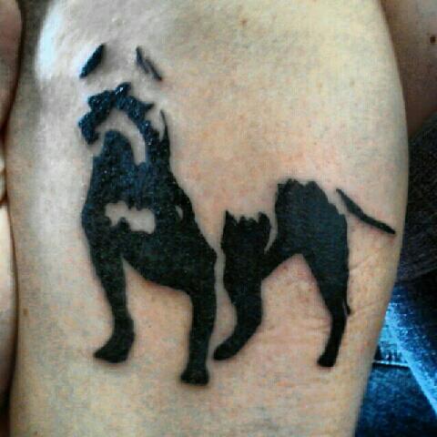 Pitbull Tattoo By Travis Newville