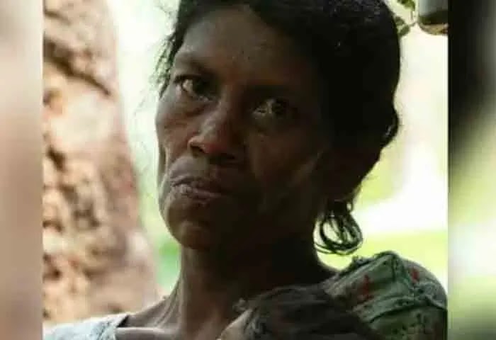 News, Kerala, Kerala-News, Kerala, Kozhikode, Local news, Police, Custody, Palakkad, Dead Body, Kozhikode-News, Regional-News, Tribal woman who went missing from Kozhikode's Kattipara found dead in inner forest.