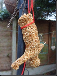 bungee seed feeder