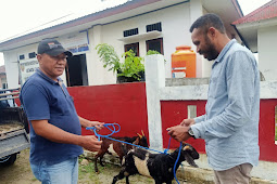  Jemaat GPM Lateri Berikan Bantuan Hewan Kurban Bagi Masyarakat Mamala 