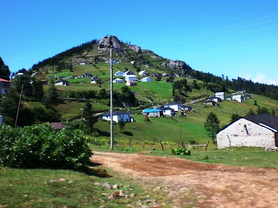 şalpazarı