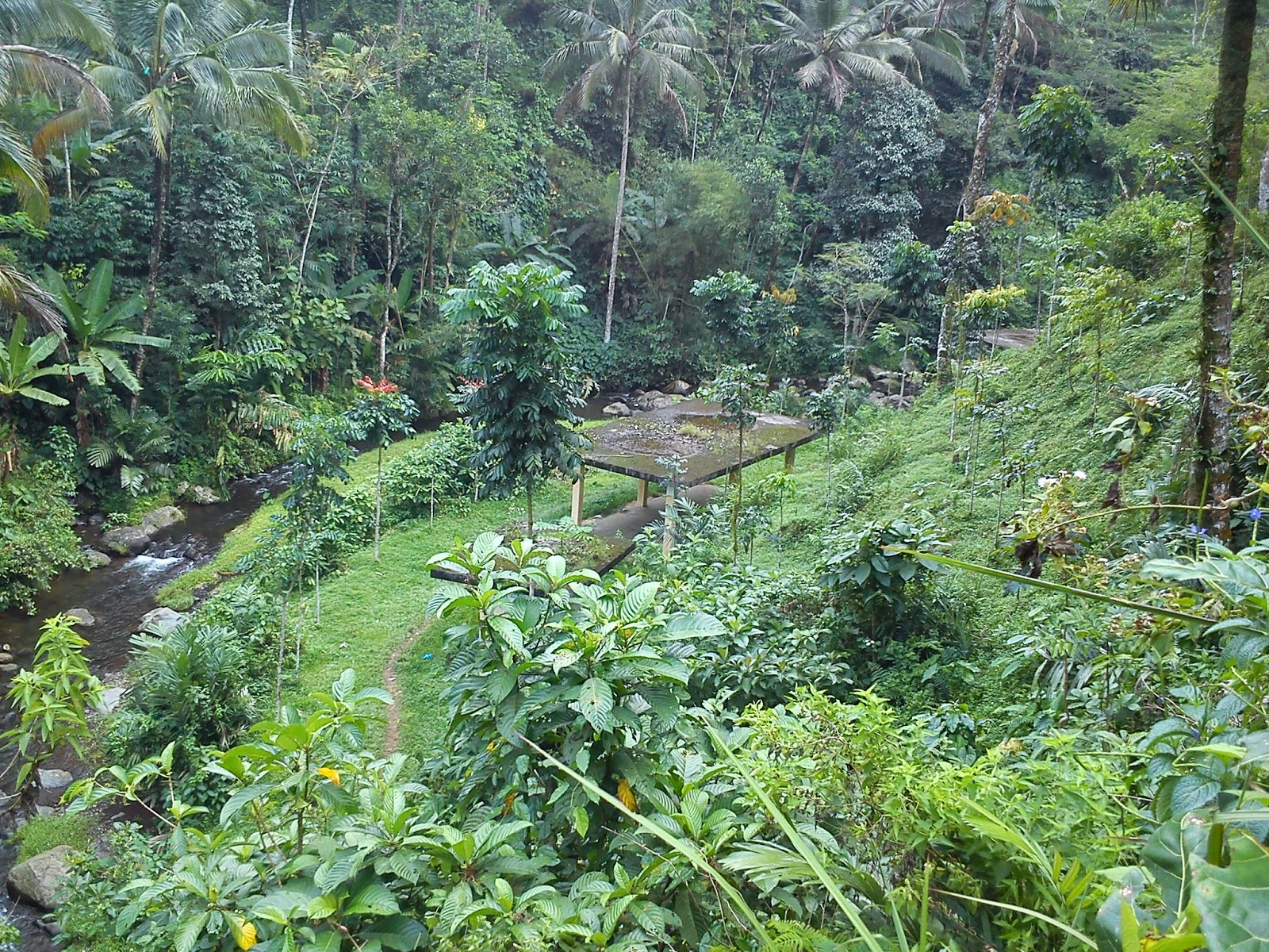 CONTOH LAPORAN HASIL OBSERVASI WISATA ALAM CURUG CEHENG 