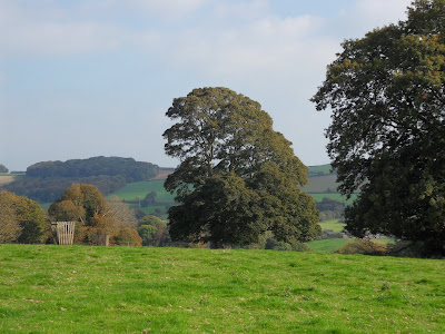 Fields approaching Lerryn Cornwall