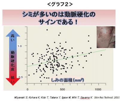 動脈硬化のグラフ2