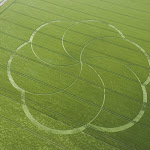 gambar crop circle, foto crop circle, alien, ufo, lingkaran tanaman, www.digaleri.com