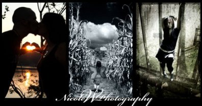 Nicole W Photography