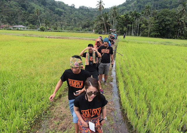 Menelusuri sawah Kampung Labu Kubong