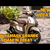 NEW YAMAHA GRANDE 125 SEMAKIN DEKAT, HONDA SCOOPY HARUS HATI-HATI