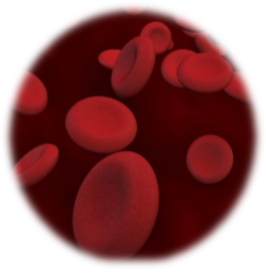 hyporesponsiveness to erythropoietin causes and management what causes increase in erythropoietin high erythropoietin causes Epo hyporesponsiveness