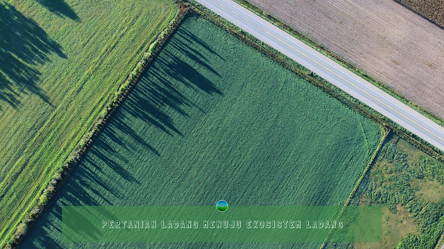 Pertanian Ladang Menuju Ekosistem Ladang