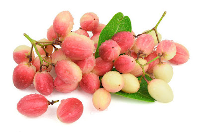 koromcha fruits