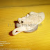 Liontin Tulang Tanduk Ukir Reptial Kata Model 113 by TUTUL HANDYCRAFT