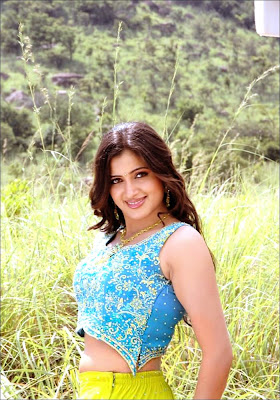 South Indian Actress Navneet Kour HoT Stills