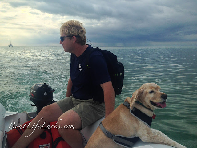 dinghy trip with the boat dog