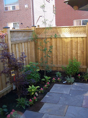 Landscape Designer: Small urban backyard turned into Garden Room