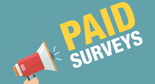 Paid Online Surveys