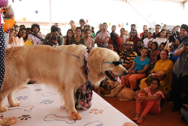 Pets Extravaganza at Happy Dog Carnival 2017