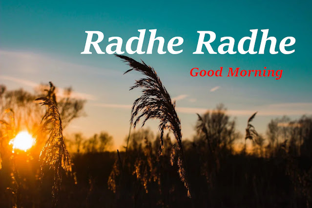 Good Morning Radhe Radhe