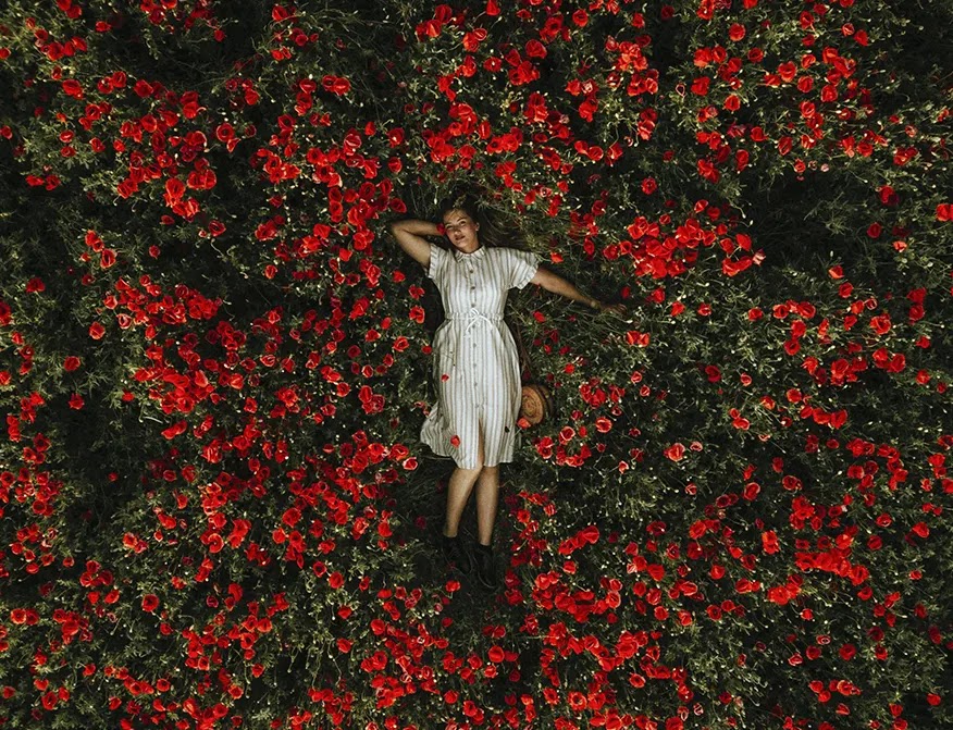 mujer-en-vestido-blanco-recostada-en-jardin-de-flores-rojas