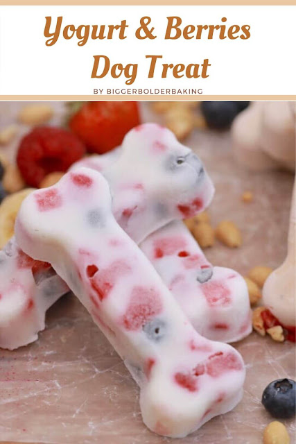 Yogurt and Berries Dog Treat