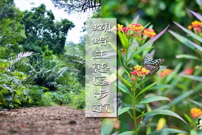 蝴蝶生態區步道｜飛牛牧場~唯美自然系IG景點