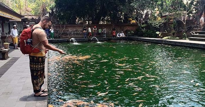 16 Ide Kolam  Ikan  Minimalis Lengkap Dengan Foto Ikanesia id