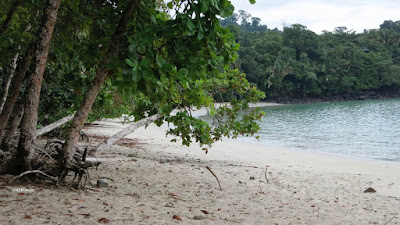 beach, Costa Rica