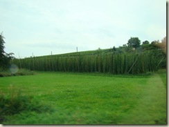Europe trip 1667