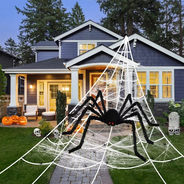 5ft Hairy Black Spider with 16.4ft Spider Webs