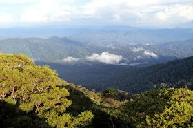 taman nasional gunung palung kalimantan barat