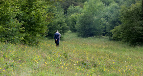 Wandering along Orchis Bank.  The yellow flowers are mostly rough hawkbit, Leontodon hispidus.  Orpington Field Club outing to Orchis Bank, Downe.  25 June 2011.   Taken with EOS 450D and 100mm macro lens.