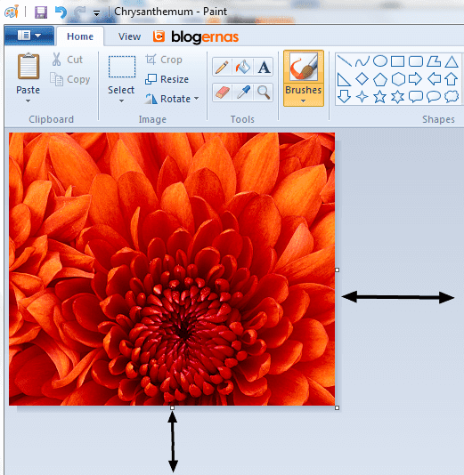 Cara Croping Gambar dg Paint WindowsCara Croping Gambar dg Paint Windows