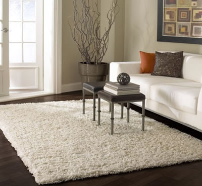 Contemporary Sofa with Rugs USA Collection