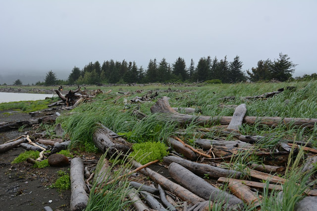 Katmai National Park