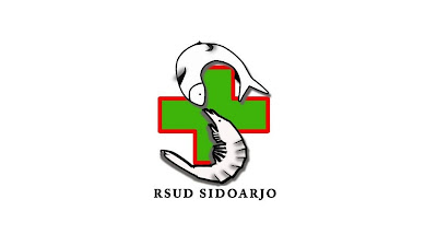 Pendapatan Pekerja Bukan ASN BLUD di Hospital Sidoarjo pada tahun 2022
