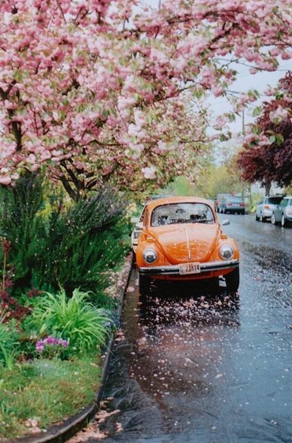 clip_image001