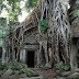Ta-Prohm - Most Amazing and Beautiful