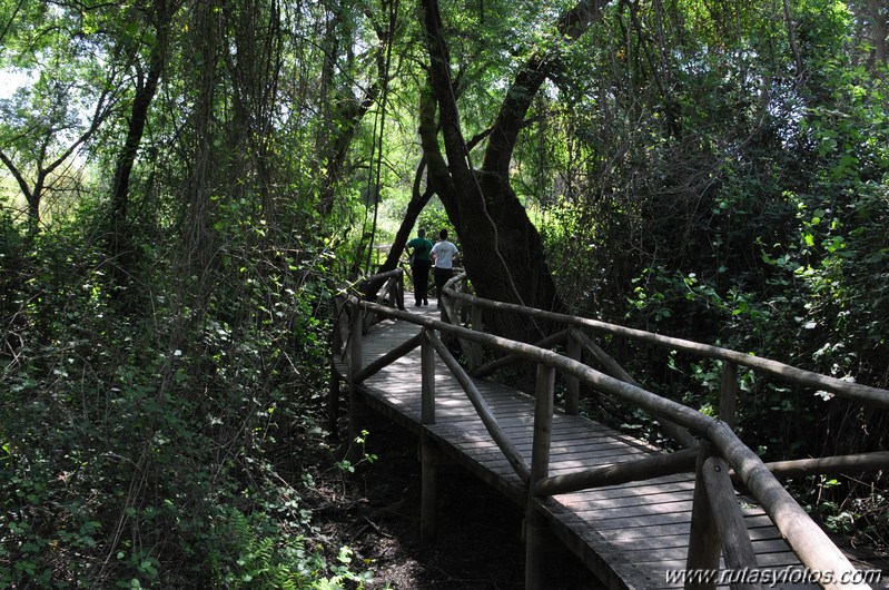 Sendero del Acebron