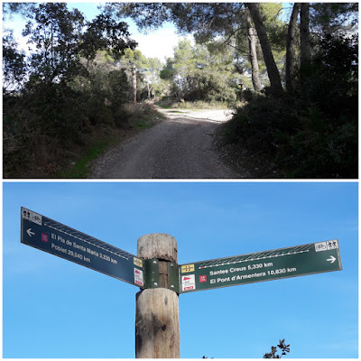 Prenafeta a Santes Creus GR-175 Ruta del Cister, camí del Mas d'en Roig en direcció a Santes Creus