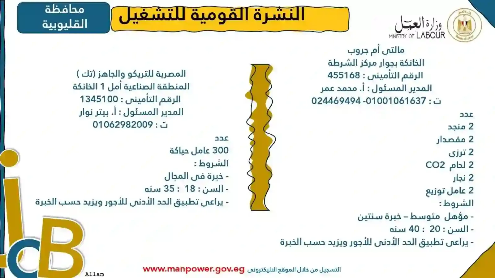 وظائف وزارة العمل بالقليوبية