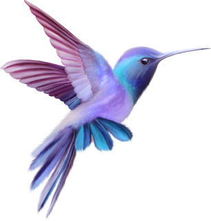 Clipart Bello Colibrí. 