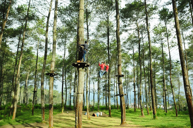 bandung treetop adventure park-Outbound Lembang-Outbound Bandung-Outbound Cikole