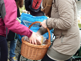 foodsharing,foodsaver,lebensmittelretten,fahrrad,osnabrück,fairteiler