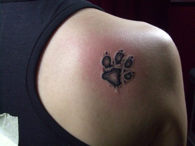 Lone Wolf Tattoo Bilder Tom Cat Tattoo Bilder Wolf Paw Print Tattoo