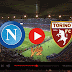 Napoli vs Torino live - Italy - Serie A